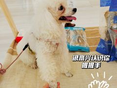 -金茂览秀城