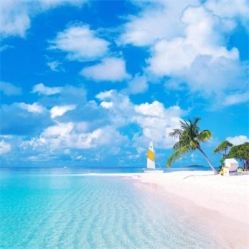 -薇兰专业脱毛连锁机构