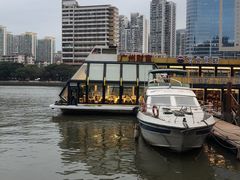 -珠江夜游省总码头