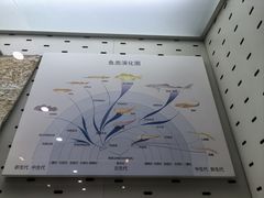 -浙江自然博物院(杭州馆)