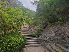 -佛慧山