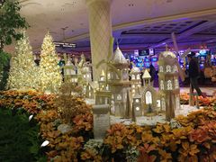 -拉斯维加斯永利酒店