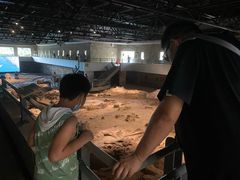 -自贡恐龙博物馆