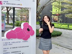 -东莞松山湖万象汇