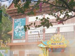 -西双版纳原始森林公园
