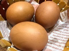 -鼎原力量东北吊炉烧烤(临河街店)