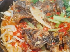 -老板恋上鱼(恒隆广场店)