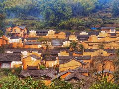 -杨家堂村