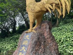 -海口火山口国家地质公园
