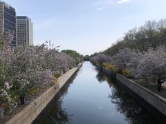 -海棠花溪(元大都城垣遗址公园)