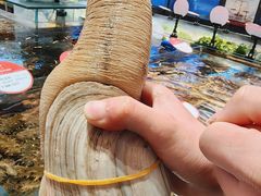 -连鹭海鲜·海肠捞饭·海胆饭(星海店)
