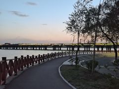 -丁香湖公园
