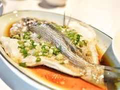 -禧宴Joyous Restaurant(禧园店)