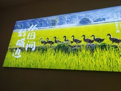 -杨厨的田园饭店(长城路店)