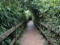 -重庆彩云湖湿地公园