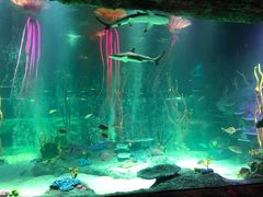 -沈阳海洋探索中心