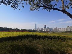 -苏州湾体育公园