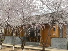 -春风习习