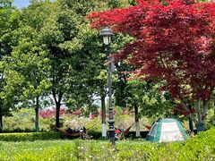 -云漫湖生态度假公园