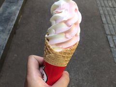 -蜜雪冰城(南关正街店)