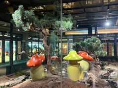 -佛冈森波拉度假区