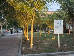 -郑州东站
