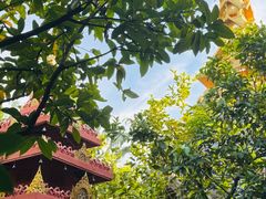 -西双版纳洲际度假酒店-泰傣餐厅