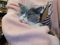 -猫友咖啡店(玉林西路店)
