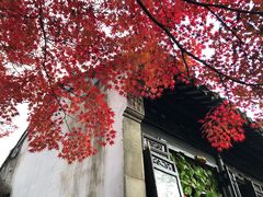 -惠山古镇·寄畅园