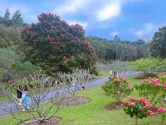 -中国科学院西双版纳热带植物园