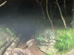 -黎坪国家森林公园