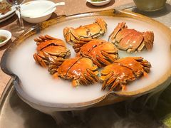 -天福苑(崇宁路店)