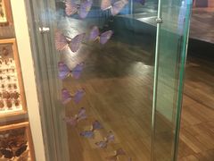-墨尔本博物馆(Melbourne Museum)