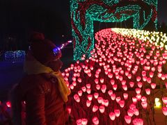 -长春公园(普阳街道)