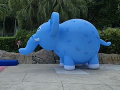 -重庆海昌加勒比海水世界