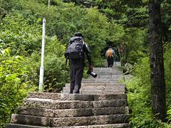 -牛背梁国家森林公园