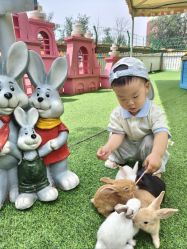 点击看大图 -萌宠亲子动物乐园(槐房万达店)