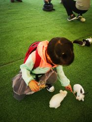 -萌宠亲子动物乐园(槐房万达店)