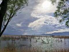 -野鸭湖国家湿地公园
