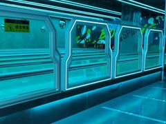 -世代星球·保龄球·镭战真人CS·团建(杨浦店)