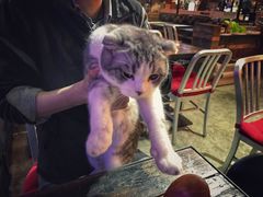 -MIKAKU(万达广场上海宝山店)