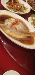 -新锦江大酒店·宴会厅·婚宴