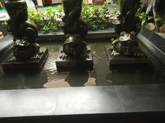 -呀诺达热带雨林