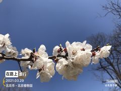 -国家植物园