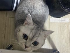 -联合动物医院(光谷诊疗中心)