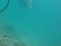 -亚龙湾海底世界