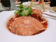 -济南喜来登酒店-采悦轩中餐厅
