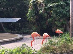 -广东茂名森林公园