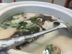 -紫藤园·天目湖大鱼头(南山竹海店)