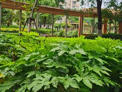 -梧桐人家中国太平国际健康颐养社区